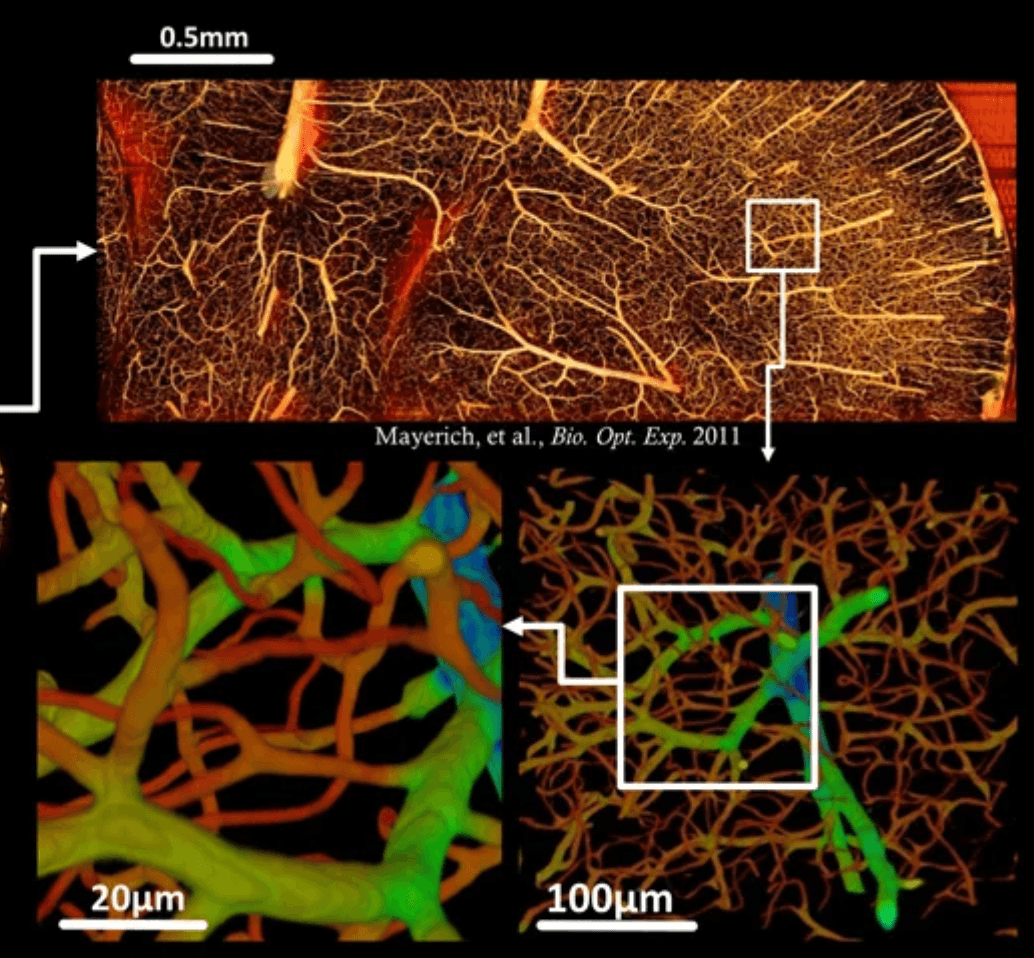 Visualization representing big data in neurotechnology research.
