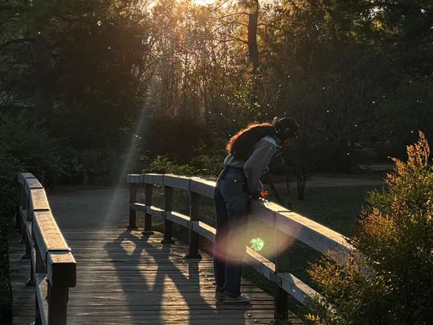 Nature BRAIN bridge